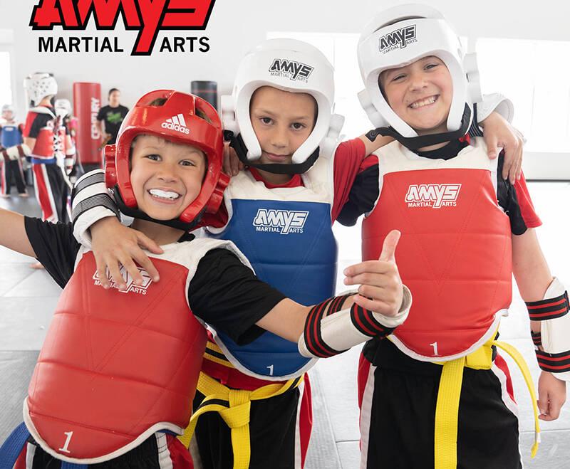 Meet our Sponsors: AMYS Martial Arts