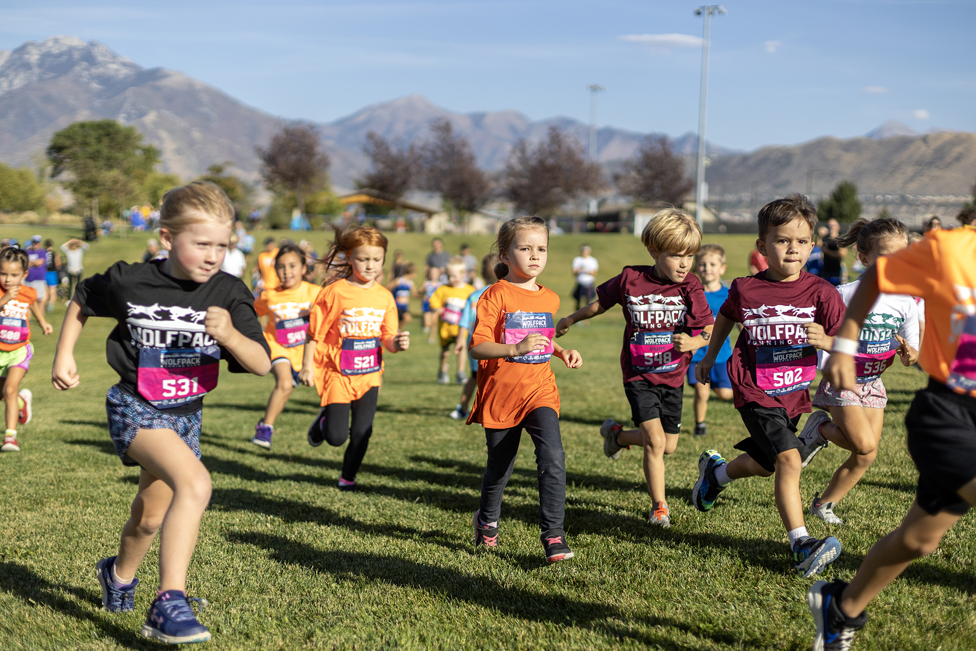 Wolfpack Cross Country
