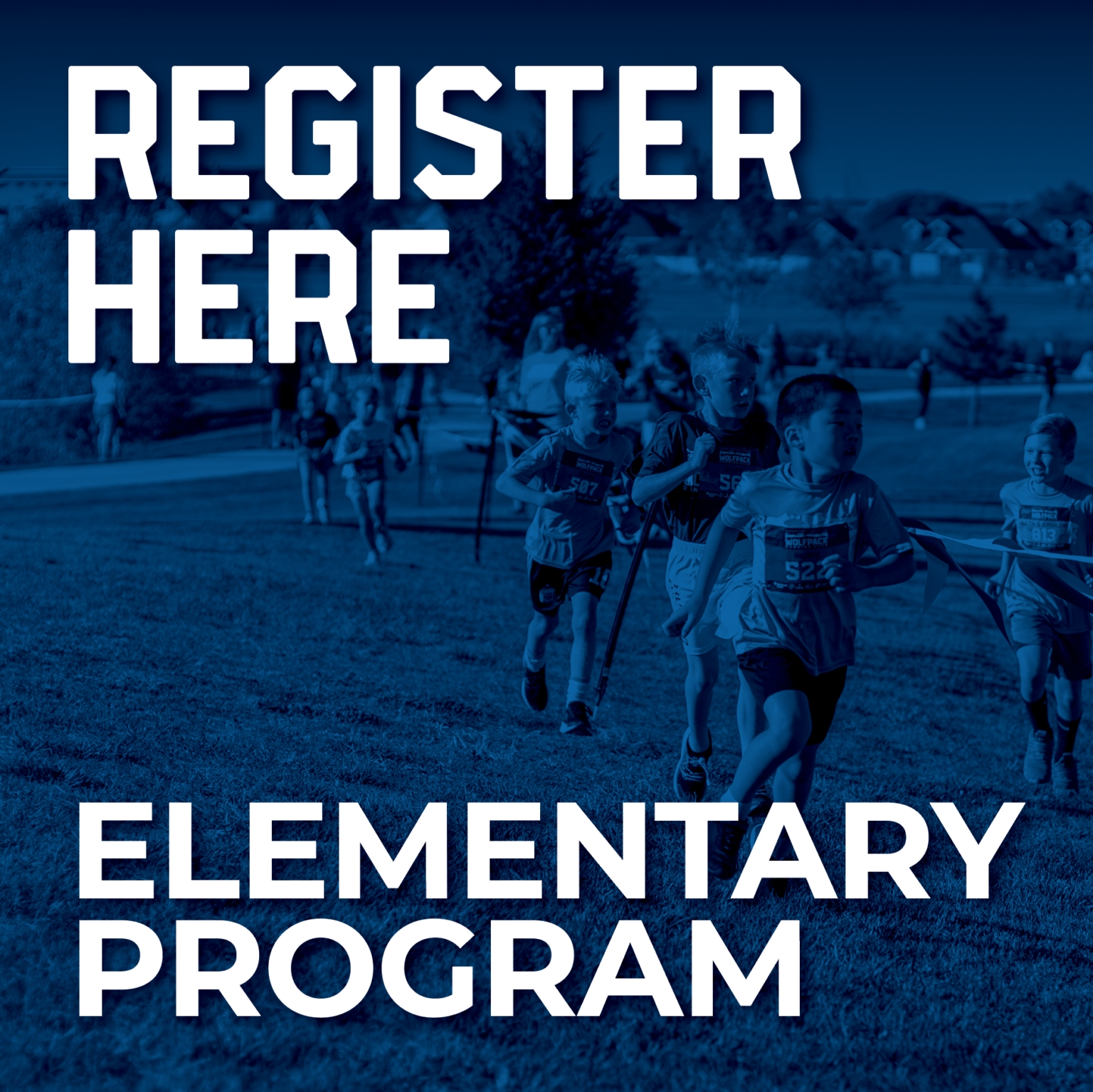 RegisterHereElem