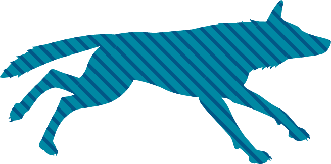 Wolfpack Youth Running