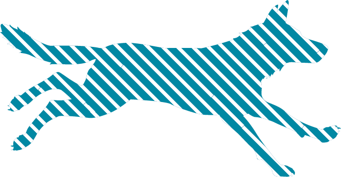 Wolfpack Youth Running